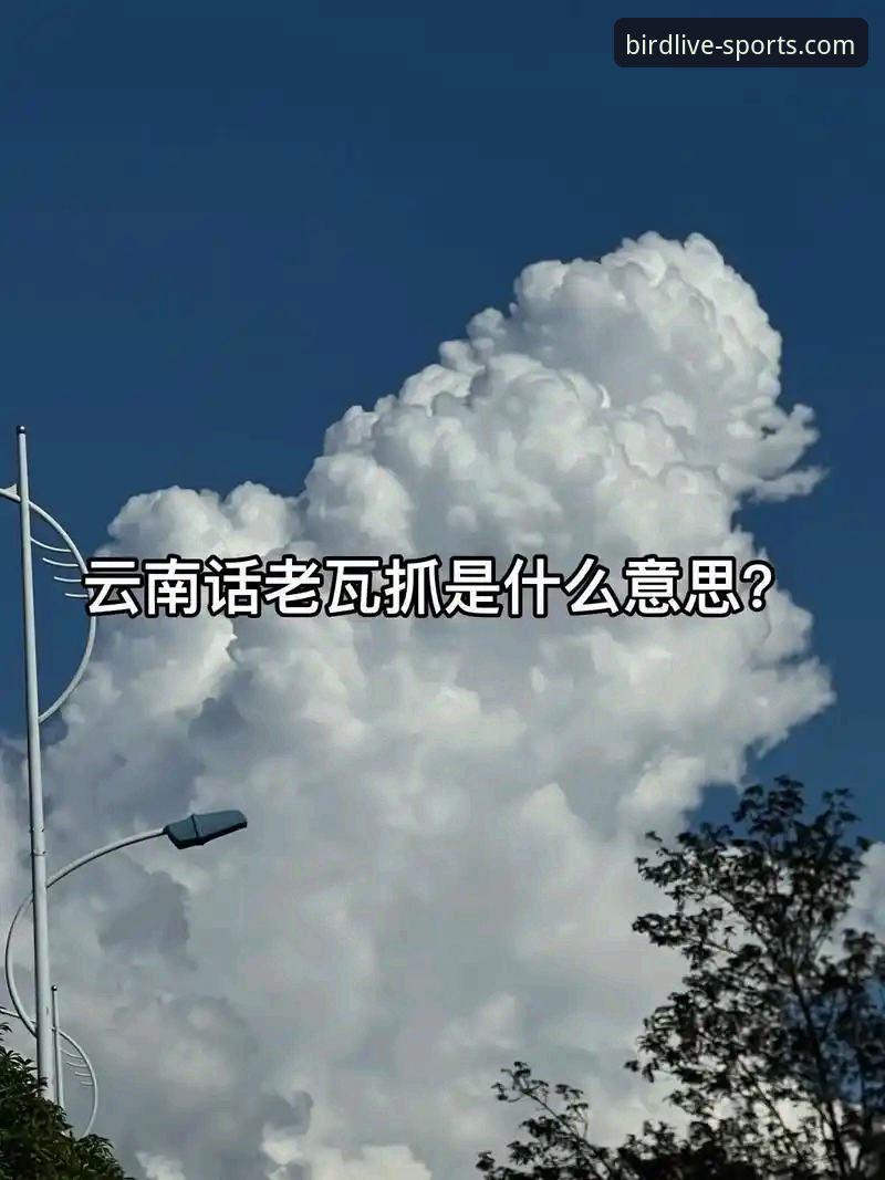 掌握小鸟体育平台最新版高清直播的实用技巧与必备知识