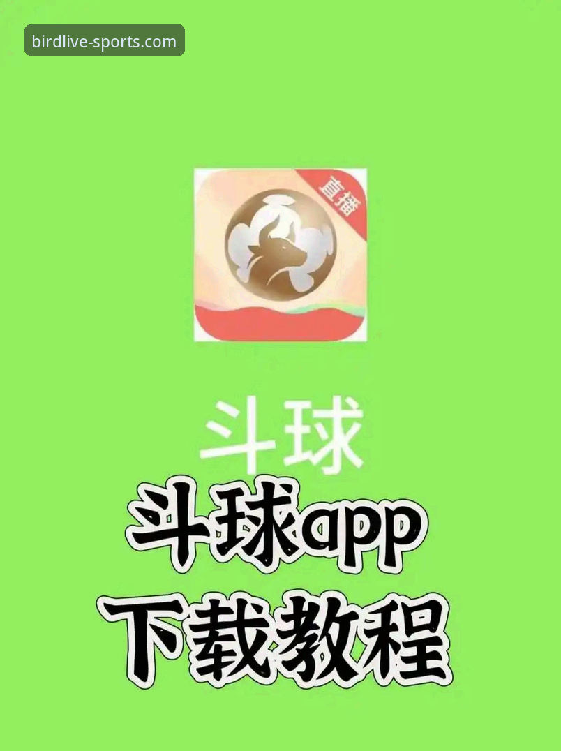 为什么小鸟体育下载安卓版是体育迷必备的直播神器？